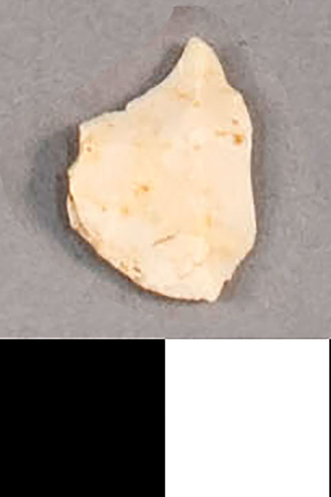 Thumbnail of Stone Tool: Chert Flake (1924.02.1000H)