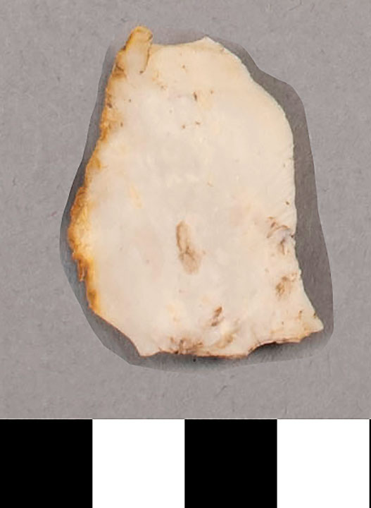Thumbnail of Stone Tool: Chert Flake (1924.02.1000J)