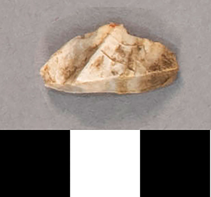 Thumbnail of Stone Tool: Chert Flake (1924.02.1000K)