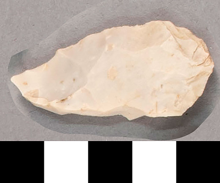 Thumbnail of Stone Tool: Chert Flake (1924.02.1000M)