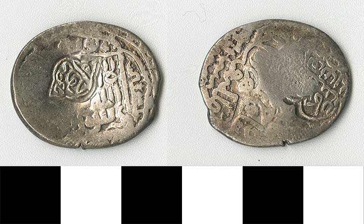 Thumbnail of Coin: Timurid Empire (1971.15.1618)