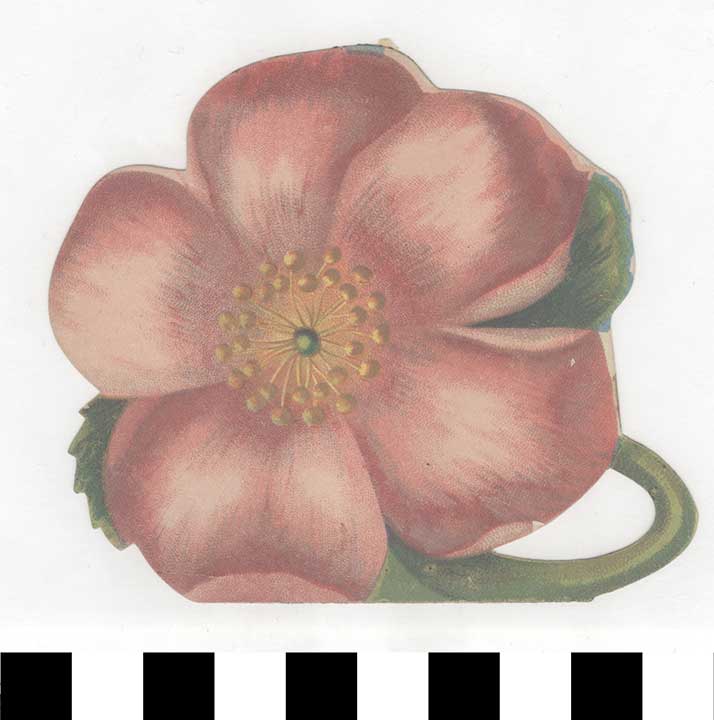 Thumbnail of Card Cut-Out of a Flower (1972.21.0265)