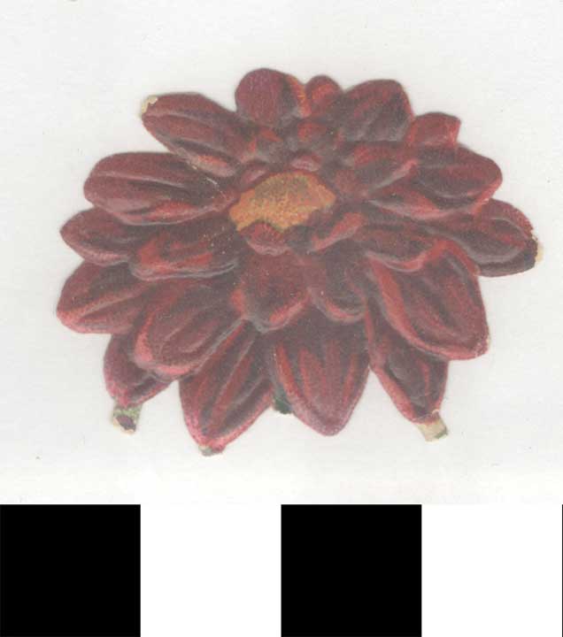 Thumbnail of Fragmentary Card Cut-Out: Flower  (1972.21.0267)