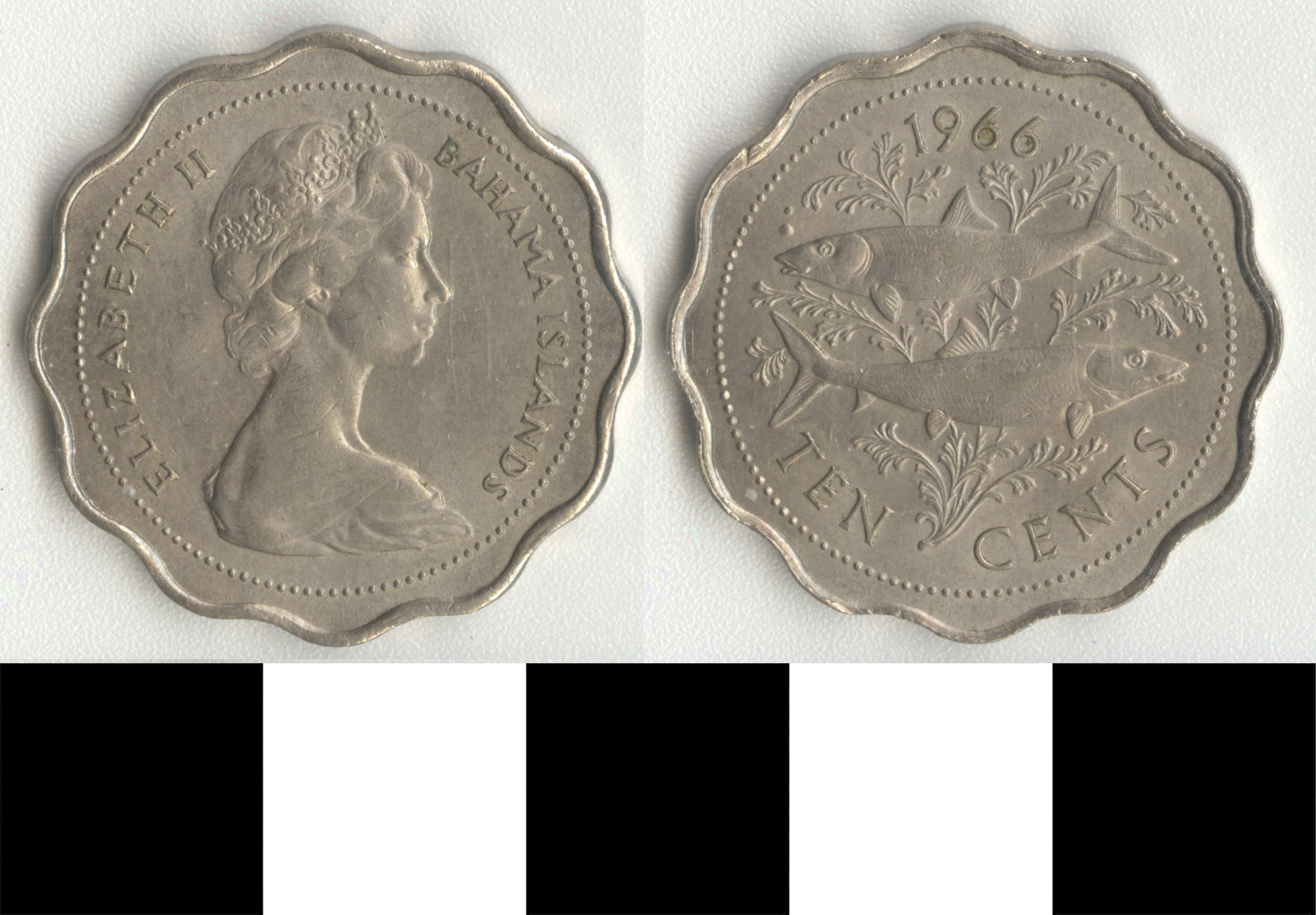 Thumbnail of Coin: Bahamas, 10 Cents (1998.03.0049)