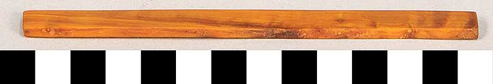 Thumbnail of Spectacles Case Lid (2020.06.0137B)