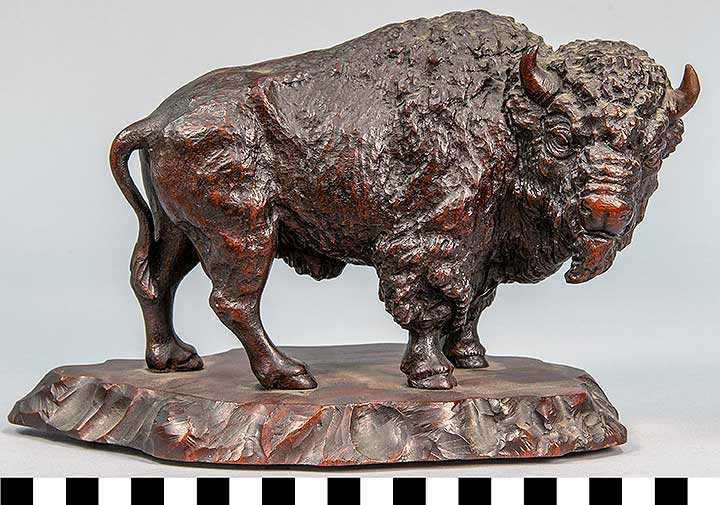 Thumbnail of Figure: Bison (2020.06.0157)