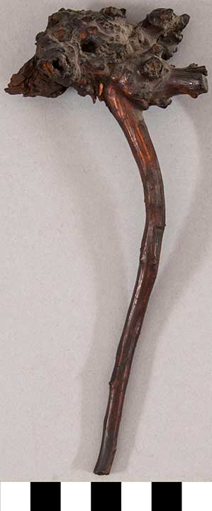 Thumbnail of Carving: Elder Staff (2020.06.0279F)