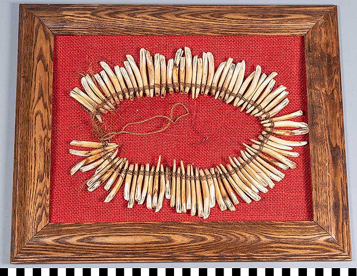 Thumbnail of Tooth Necklace (2021.03.0034)