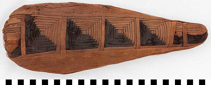 Thumbnail of Mummified Votive Ibis (1914.05.0001)
