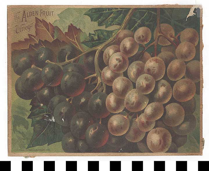 Thumbnail of Business Advertisement Card:  Alden Fruit Vinegar (1972.21.0054)
