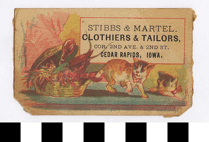 Thumbnail of Business Advertisement Card: "Stibbs & Martel, Clothiers & Tailors" (1972.21.0080)