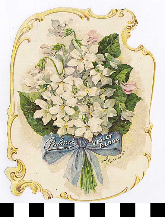 Thumbnail of Business Advertisement Card: Palmer Violet Bloom (1972.21.0089)