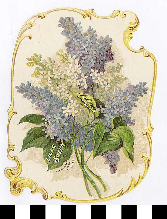 Thumbnail of Business Advertisement Card: Palmer Lilac Sweets (1972.21.0090)