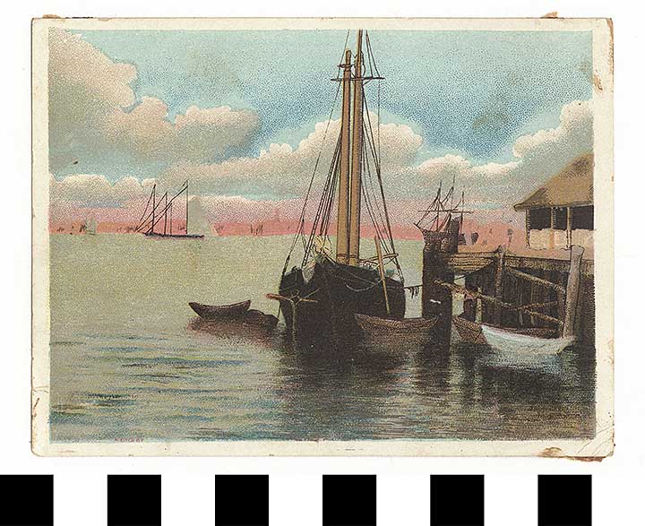 Thumbnail of Business Advertisement Card: Union Pacific Tea (1972.21.0134)