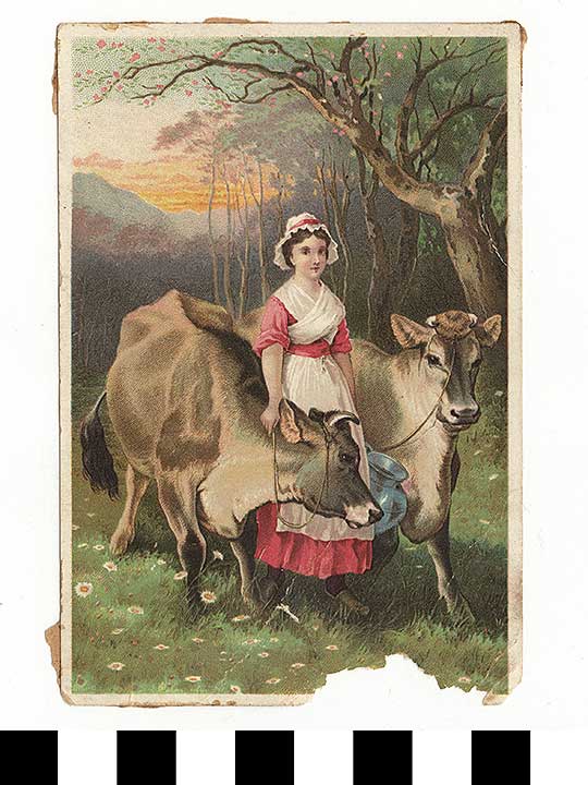 Thumbnail of Business Advertisement Card:  Dr. Janye