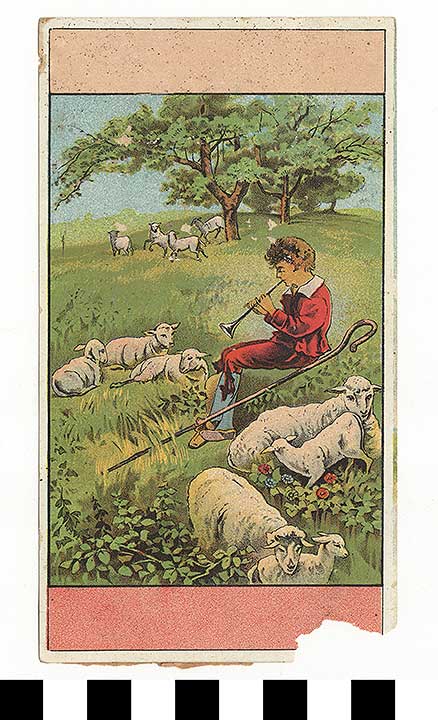 Thumbnail of Advertisement: F. C. Olmstead & Co., The Boys’ and Children’s Clothiers (1972.21.0150)