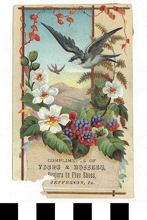 Thumbnail of Business Advertisement Card:  Young & Bossert (1972.21.0153)