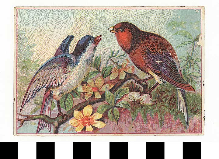 Thumbnail of Business Advertisement Card: Sewing Machine (1972.21.0155)