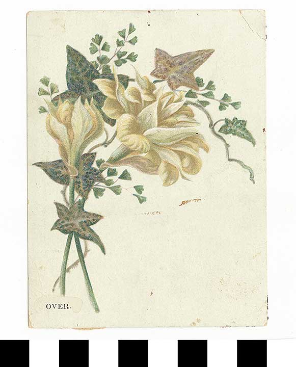 Thumbnail of Business Advertisement Card: Erie Preseving Co.  (1972.21.0175)