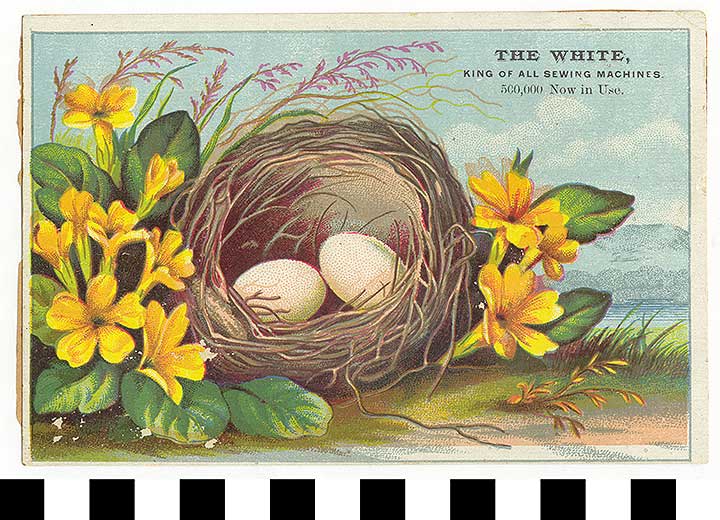 Thumbnail of Business Advertisement Card: The White (1972.21.0206)