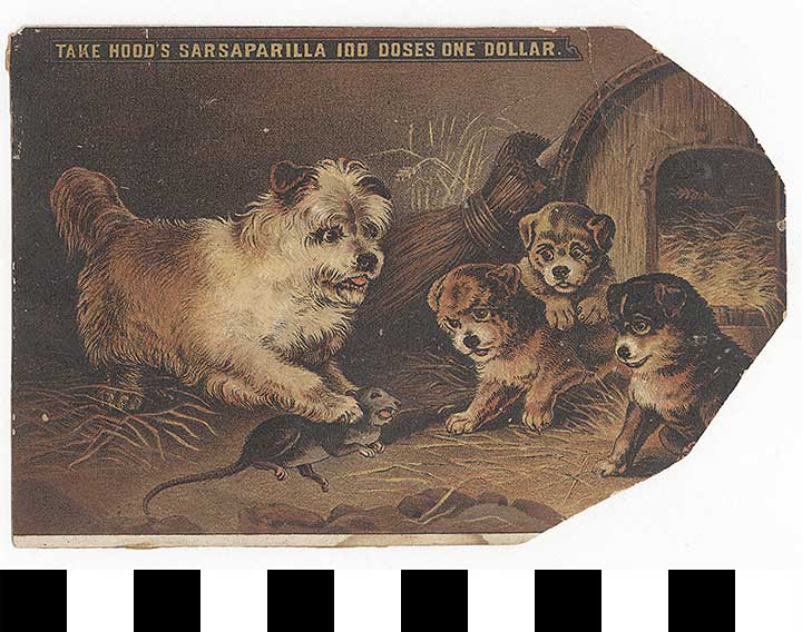 Thumbnail of Business Advertisement Card: Hood