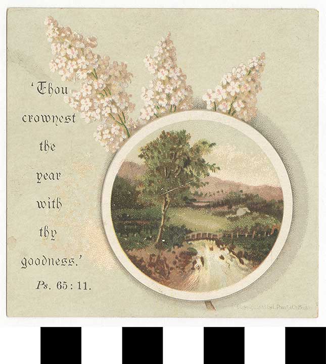 Thumbnail of New Year