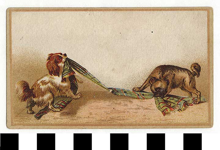 Thumbnail of Greeting Card  (1972.21.0255)