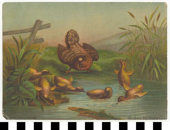 Thumbnail of Greeting Card  (1972.21.0259)