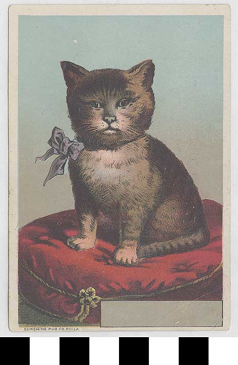 Thumbnail of Greeting Card: Cat (1972.21.0280)