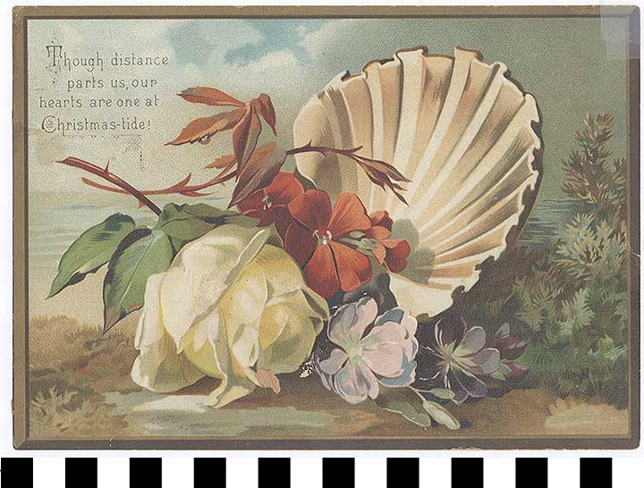 Thumbnail of Christmas Card (1972.21.0300)