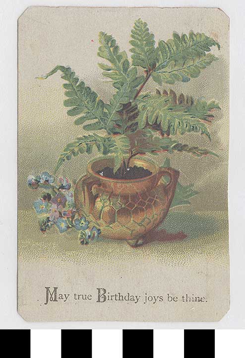 Thumbnail of Birthday Card:  May True Birthday Joys (1972.21.0313)