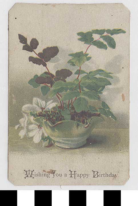 Thumbnail of Birthday Card (1972.21.0315)