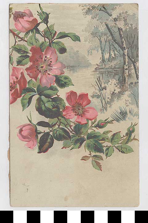 Thumbnail of Greeting Card:  Forest with Pink Flowers (1972.21.0362)