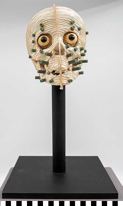 Thumbnail of Mummified Person Reconstruction, Stage III (1989.06.0001F)