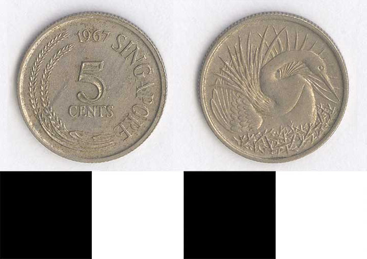Thumbnail of Coin: Singapore, 5 Cents (1998.03.0664)
