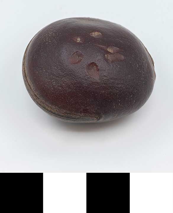 Thumbnail of Sea Bean (2013.05.1781)