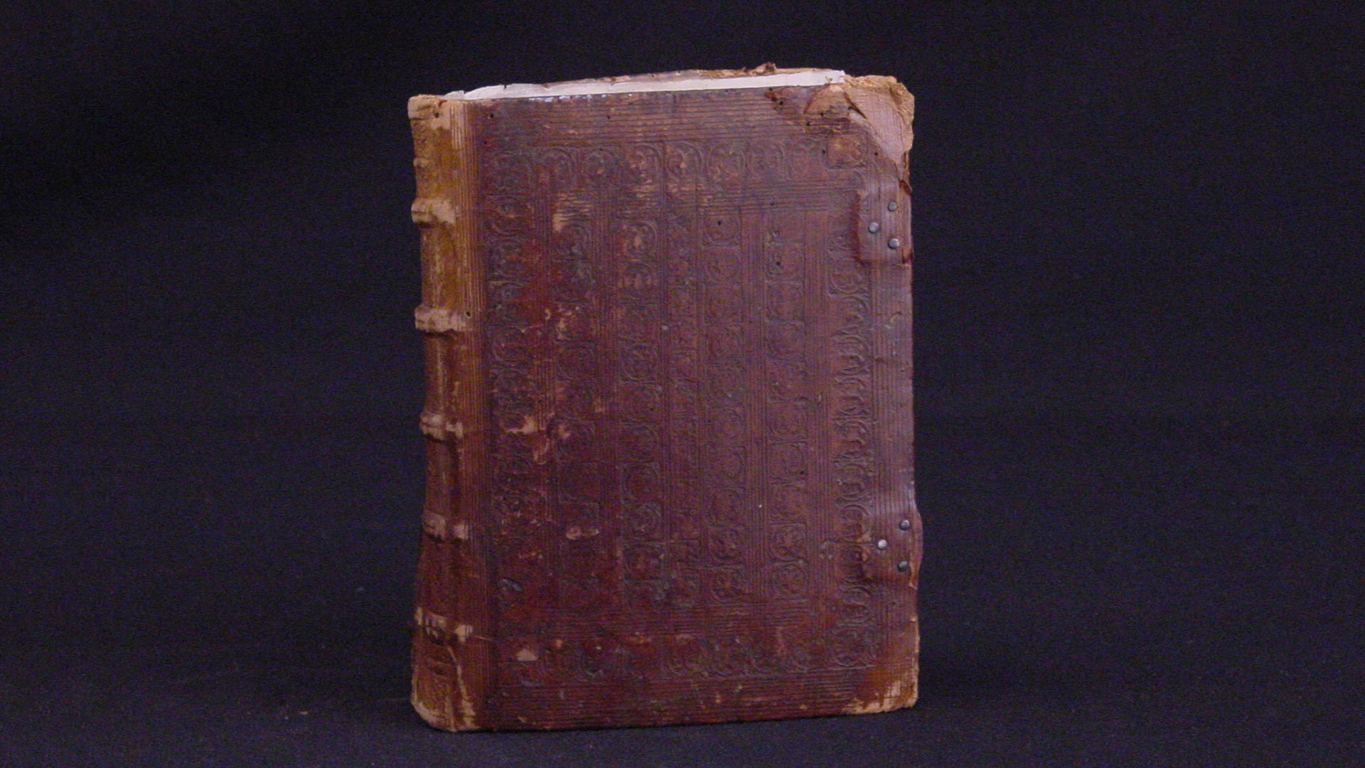 Featured Object: Book of Hours, An Illuminated Manuscript overview image