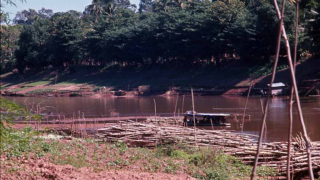 Piles of timber line the river shore beside a boat
