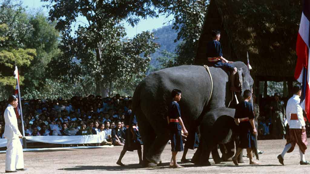 A closeup of the young men walking beside the elephant