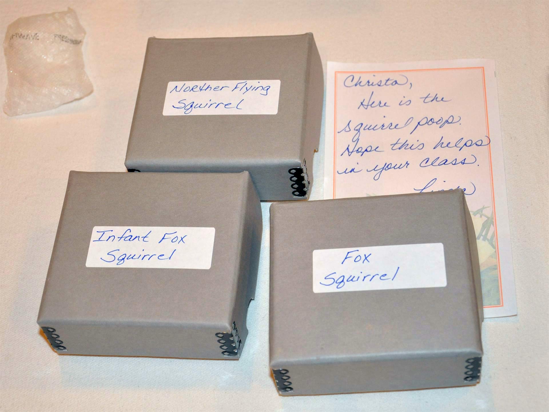 Samples of squirrel droppings added to IPM Program overview image