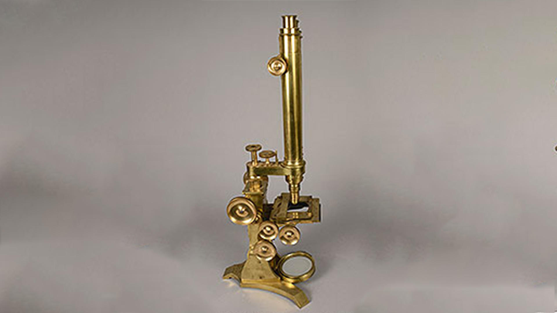 very shiny, entirely brass upright microscope with long stem