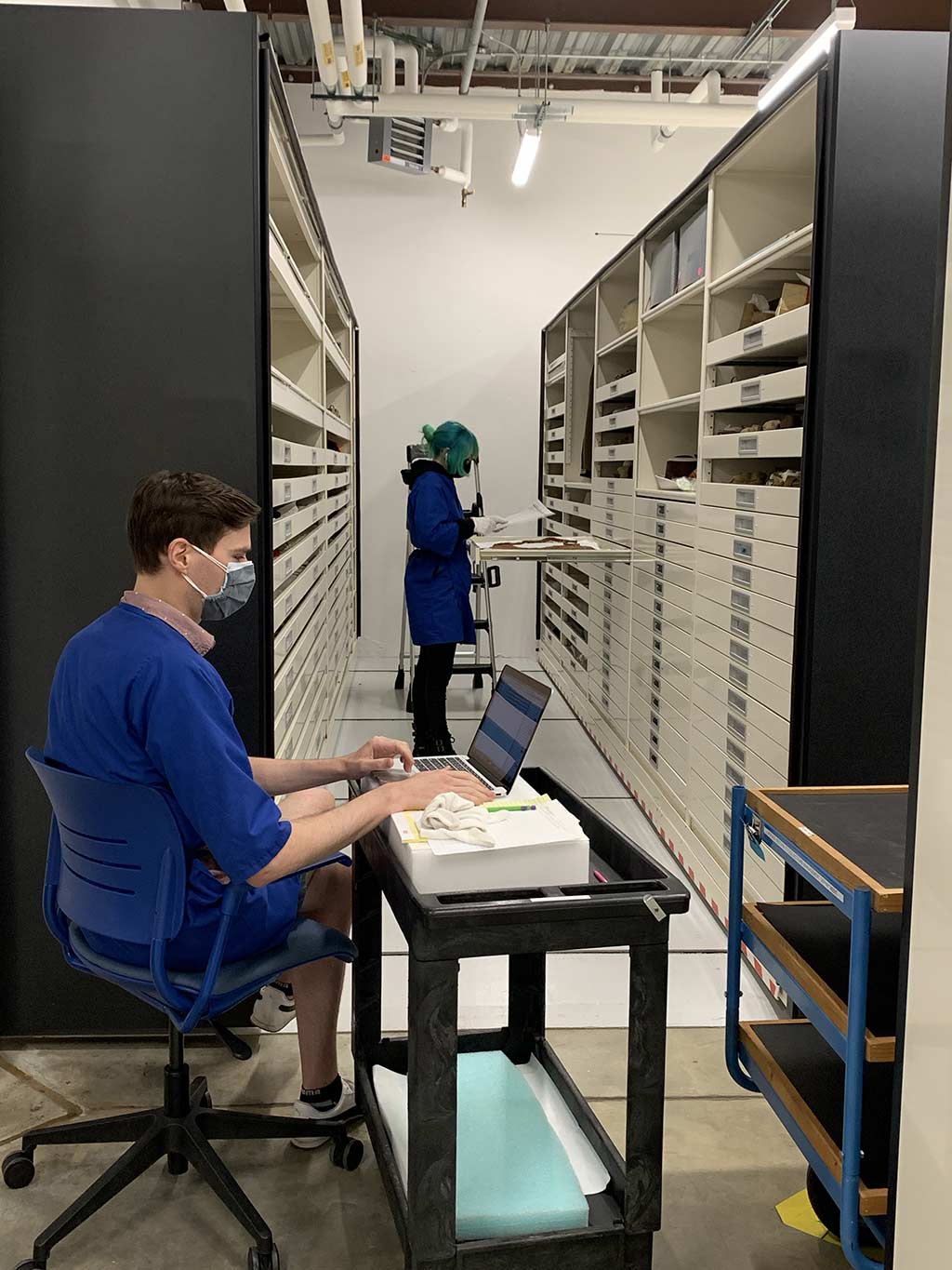 two of the museum's staff working on inventory in front of storage sheves and drawers
