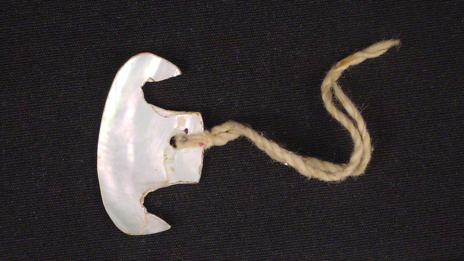 tiny piece of white shell carved in the shape of a nose tied to a white string