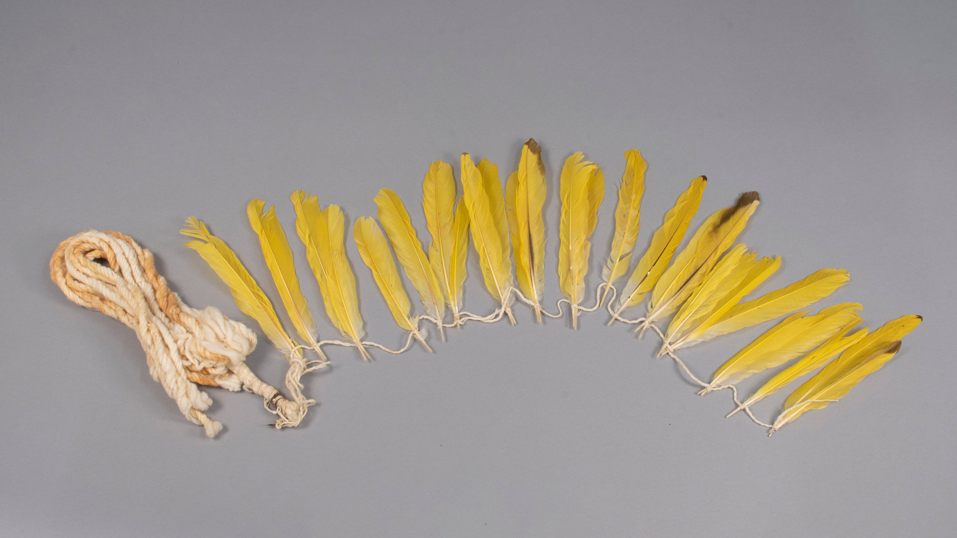 bright yellow feathers tied along a white string