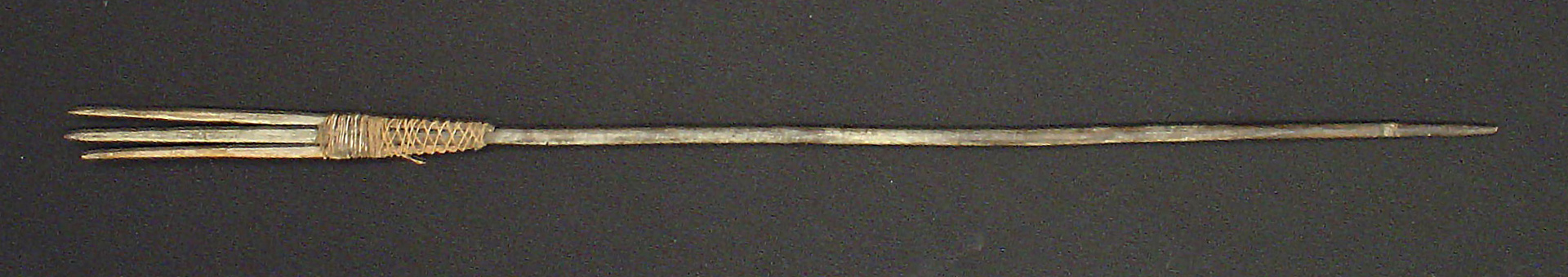 long wooden stick tied to three wooden sharp prongs