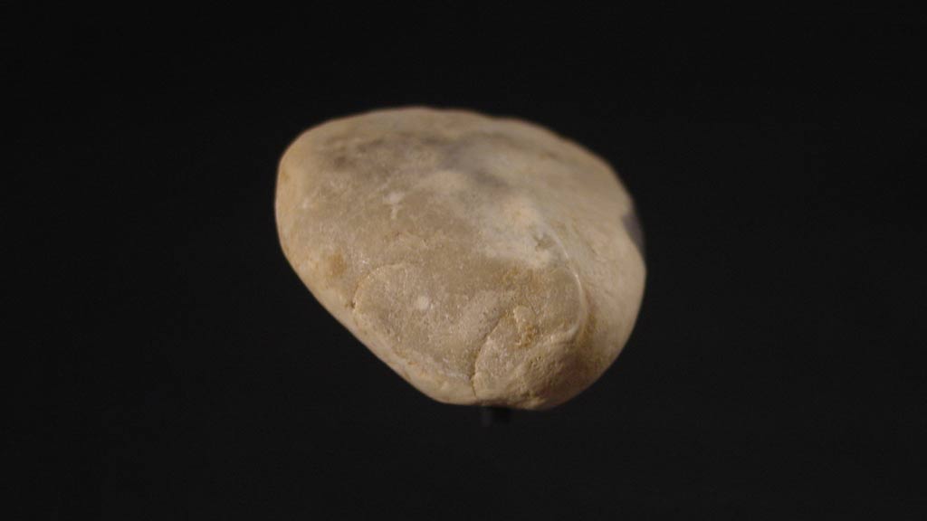 Figurine Fragment, Head, Stargazer (2000.17.0290)