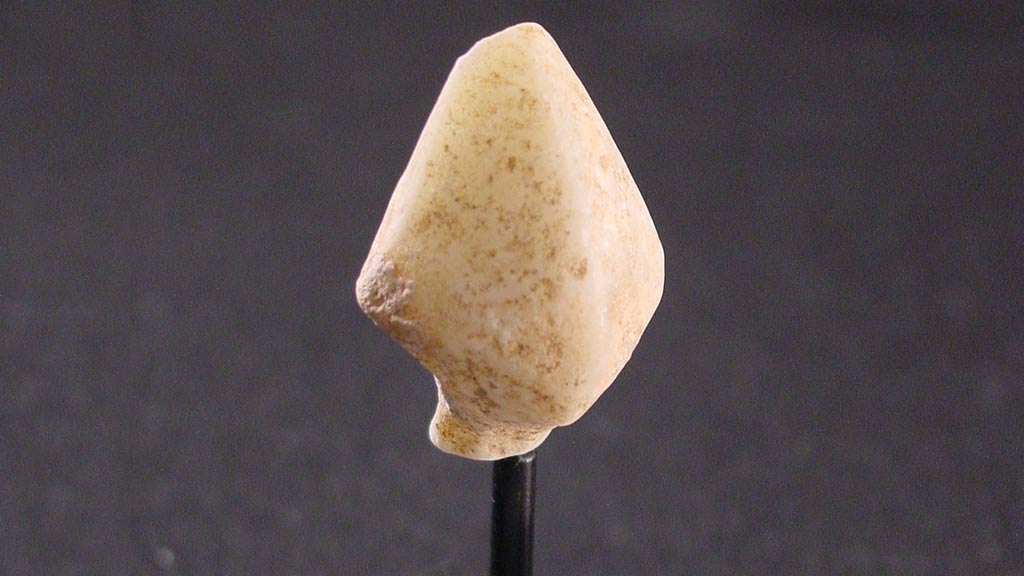 Figurine Fragment, Head, Stargazer (2000.17.0339)