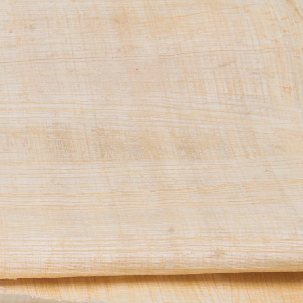 Close up of a beige paper-like substance called papyrus
