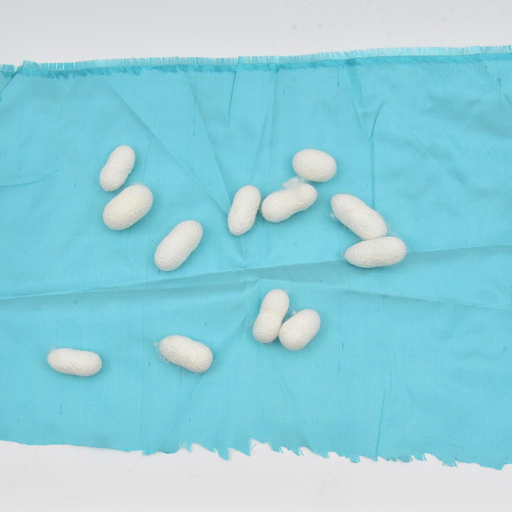 Silk on a blue silk cloth