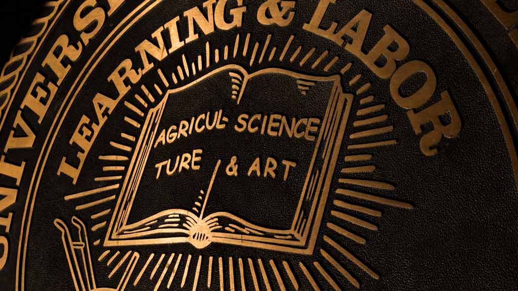 close-up of university seal 